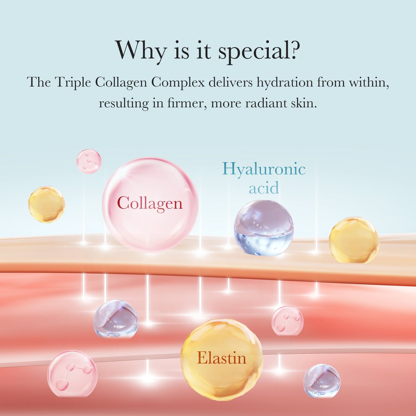 triple-collagen-cream-h5 04_8e4e330d-7d9c-4ff0-93ec-ea541093220c.jpg